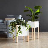 Atrium Planters - F2 Furnishings