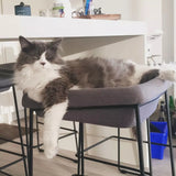 MacKenzie Stool (Clearance)