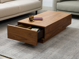 Boom 2-Drawer Coffee Table