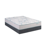 Dr Hard BeautySleep Mattress