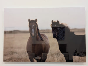HORSES PATAGONIA I