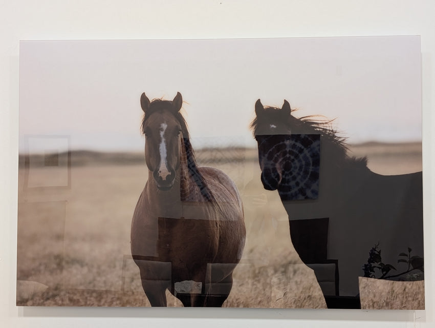 HORSES PATAGONIA I