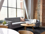 Reverie Collection